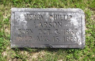 LARSON, HERBY PHILLIP - Clayton County, Iowa | HERBY PHILLIP LARSON 