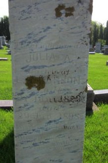 LARSON, JULIA A. - Clayton County, Iowa | JULIA A. LARSON 