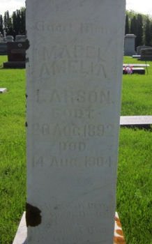 LARSON, MABEL AMELIA - Clayton County, Iowa | MABEL AMELIA LARSON 
