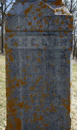 LIEN, OLE E. - Clayton County, Iowa | OLE E. LIEN 