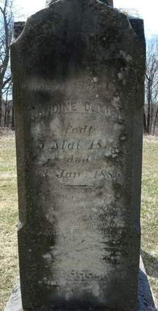 LIEN, RANDINE O. - Clayton County, Iowa | RANDINE O. LIEN 