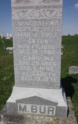 BUR, CAROLINA - Clayton County, Iowa | CAROLINA BUR 