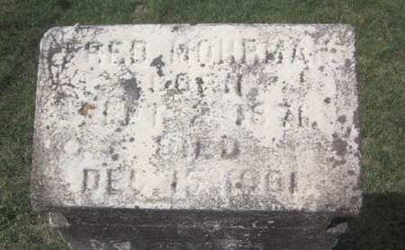 MOHRMAN, FRED - Clayton County, Iowa | FRED MOHRMAN 