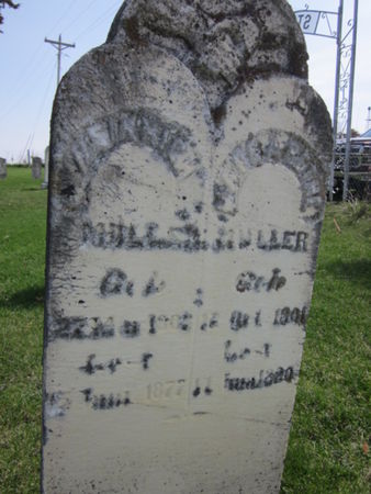 MULLER, HEINRICH - Clayton County, Iowa | HEINRICH MULLER 