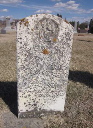 NEHLS, HEINRICH - Clayton County, Iowa | HEINRICH NEHLS 