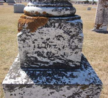 NEHLS, MATHILDA - Clayton County, Iowa | MATHILDA NEHLS 