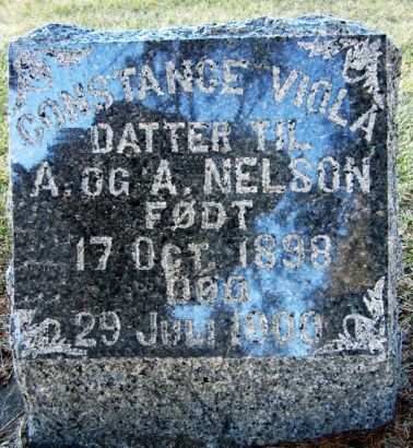 NELSON, CONSTANCE VIOLA - Clayton County, Iowa | CONSTANCE VIOLA NELSON 