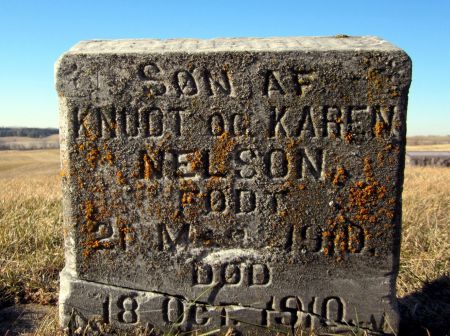 NELSON, INFANT SON - Clayton County, Iowa | INFANT SON NELSON 