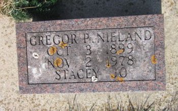 NIELAND, STACEY JO - Clayton County, Iowa | STACEY JO NIELAND 