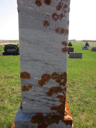 NIELAND, CHILD - Clayton County, Iowa | CHILD NIELAND 