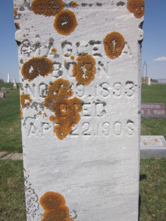 NIELAND, MAGLENA - Clayton County, Iowa | MAGLENA NIELAND 