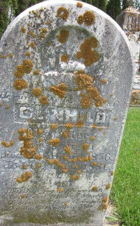 OLSDATTER, GUNHILD - Clayton County, Iowa | GUNHILD OLSDATTER 