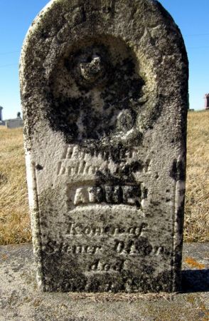 OLSON, ARNE - Clayton County, Iowa | ARNE OLSON 