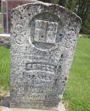 OLSON, BERGET - Clayton County, Iowa | BERGET OLSON 
