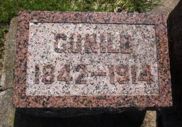 OLSON, GUNILD - Clayton County, Iowa | GUNILD OLSON 