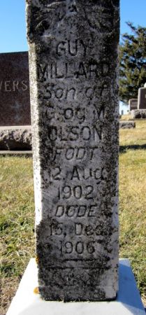OLSON, GUY MILLARD - Clayton County, Iowa | GUY MILLARD OLSON 