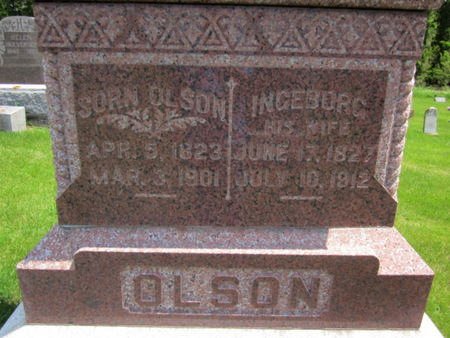 OLSON, SORN - Clayton County, Iowa | SORN OLSON 