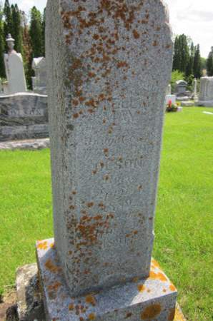 OLSON, STELLA MAY - Clayton County, Iowa | STELLA MAY OLSON 