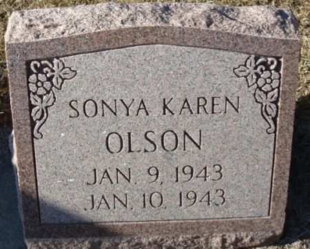 OLSON, SONYA KAREN - Clayton County, Iowa | SONYA KAREN OLSON 