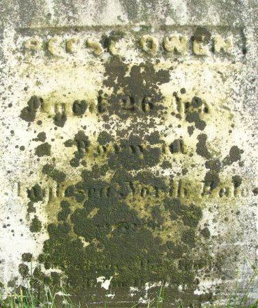 OWEN, REESE (?) - Clayton County, Iowa | REESE (?) OWEN 