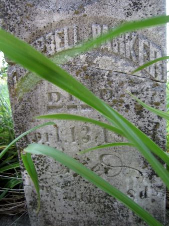 PARKER, CAMPBELL - Clayton County, Iowa | CAMPBELL PARKER 