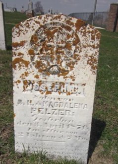 PELZER, JOSEPH - Clayton County, Iowa | JOSEPH PELZER 