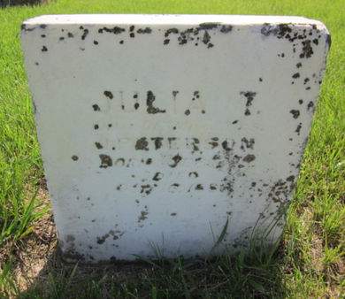 PETERSON, JULIA T. - Clayton County, Iowa | JULIA T. PETERSON 