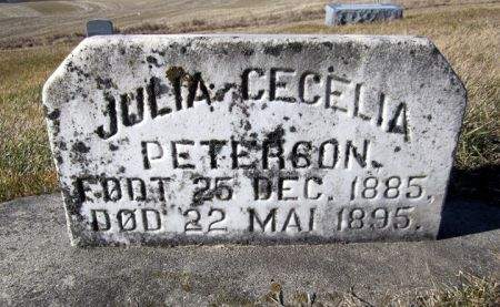 PETERSON, JULIA CECELIA - Clayton County, Iowa | JULIA CECELIA PETERSON 