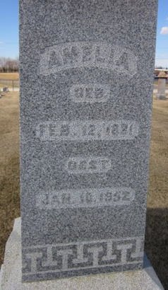 ROGGMAN, AMELIA - Clayton County, Iowa | AMELIA ROGGMAN 