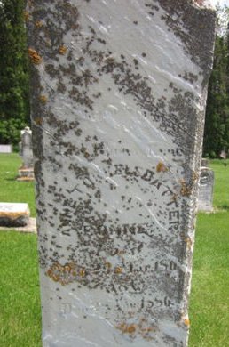 RONNE, ANNE TORKELSDATTER - Clayton County, Iowa | ANNE TORKELSDATTER RONNE 