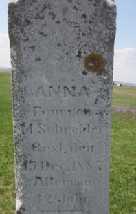 SCHNEIDER, ANNA - Clayton County, Iowa | ANNA SCHNEIDER 