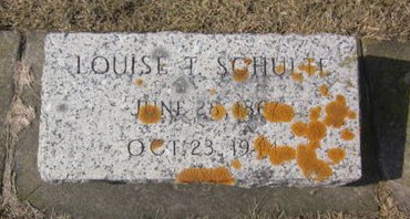 SCHULTE, LOUISE T. - Clayton County, Iowa | LOUISE T. SCHULTE 