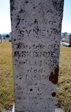 TORSDATTER SKRINDE, SYNEV - Clayton County, Iowa | SYNEV TORSDATTER SKRINDE 