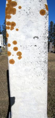 SKRINDER, OLE - Clayton County, Iowa | OLE SKRINDER 