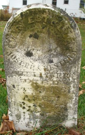 STELLEFER, MARY ESTELLA - Clayton County, Iowa | MARY ESTELLA STELLEFER 