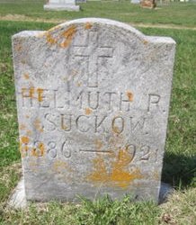 SUCKOW, HELMUTH R. - Clayton County, Iowa | HELMUTH R. SUCKOW 