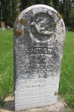 THORESEN, PEDER - Clayton County, Iowa | PEDER THORESEN 