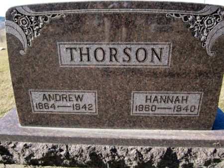THORSON, HANNAH - Clayton County, Iowa | HANNAH THORSON 