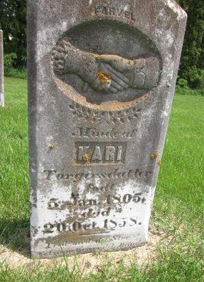 TORGENSDATTER, KARI - Clayton County, Iowa | KARI TORGENSDATTER 