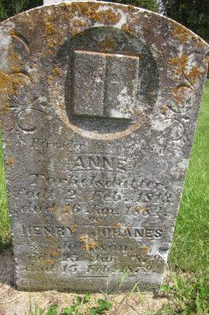 TORKELSDATTER, ANNE - Clayton County, Iowa | ANNE TORKELSDATTER 