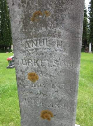 TORKELSON, ANUL H. - Clayton County, Iowa | ANUL H. TORKELSON 