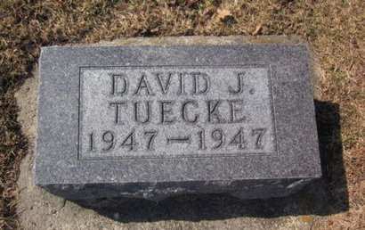 TUECKE, DAVID J. - Clayton County, Iowa | DAVID J. TUECKE 