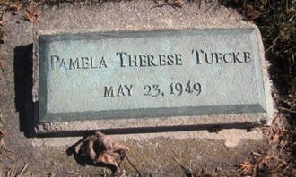 TUECKE, PAMELA THERESE - Clayton County, Iowa | PAMELA THERESE TUECKE 