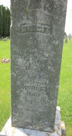 ULBERG, BIRGET - Clayton County, Iowa | BIRGET ULBERG 