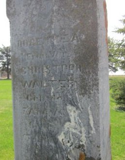 WALTER, DORETHEA - Clayton County, Iowa | DORETHEA WALTER 