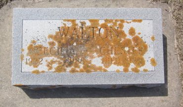 WALTON, CECILIA - Clayton County, Iowa | CECILIA WALTON 