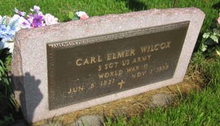 WILCOX, CARL ELMER - Clayton County, Iowa | CARL ELMER WILCOX 
