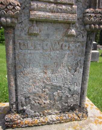 WOLD, OLE O. - Clayton County, Iowa | OLE O. WOLD 