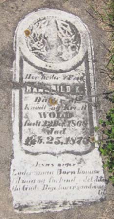 WOLD, RANGHILD K. - Clayton County, Iowa | RANGHILD K. WOLD 