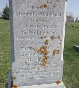 RIESSELMAN WULFEKUHL, ELISABETH - Clayton County, Iowa | ELISABETH RIESSELMAN WULFEKUHL 